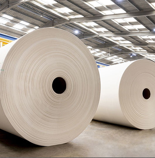 Cominter, 4ème fabricant de papier tissu de la péninsule ibérique